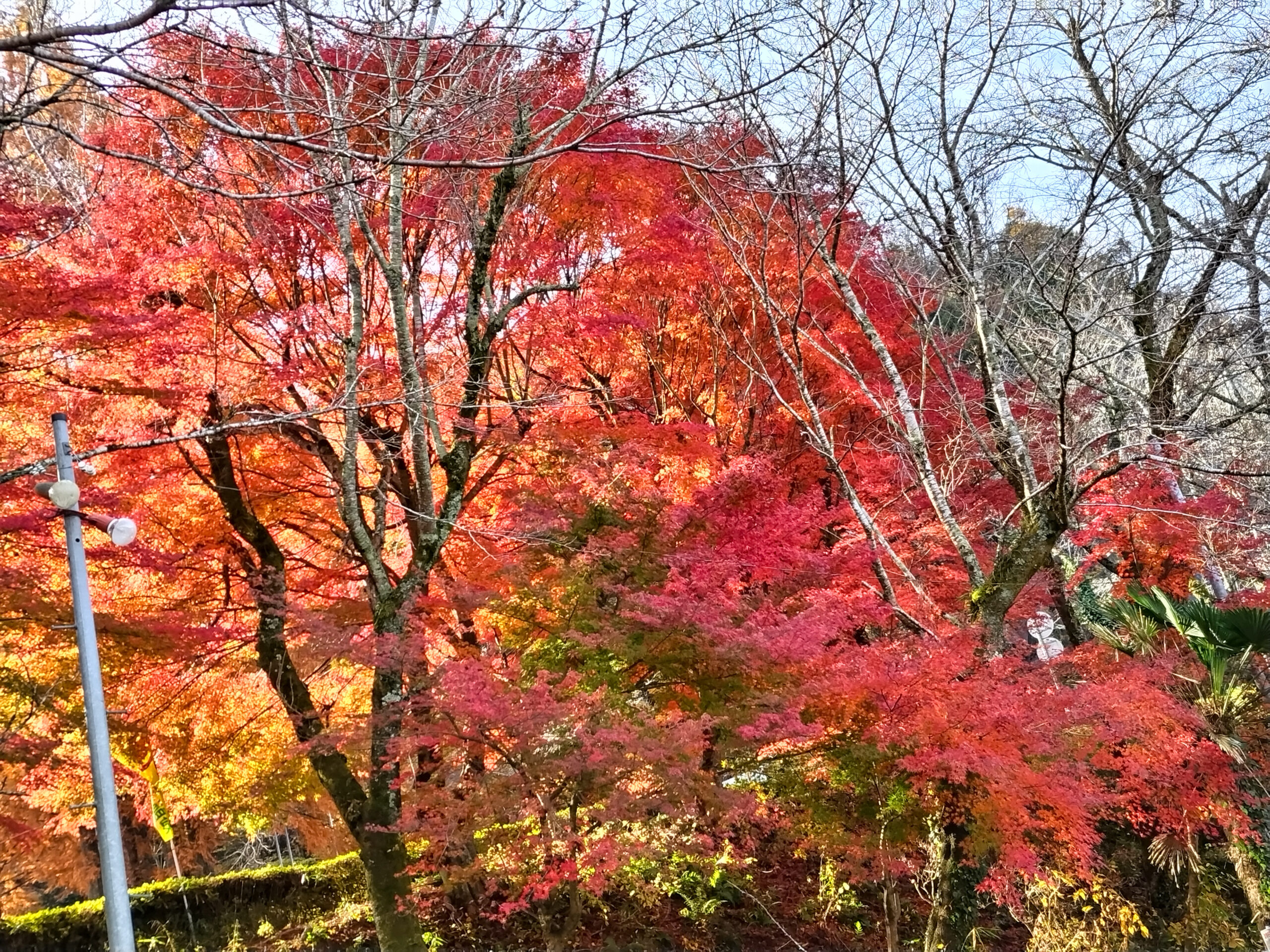鬼岩公園駐車場