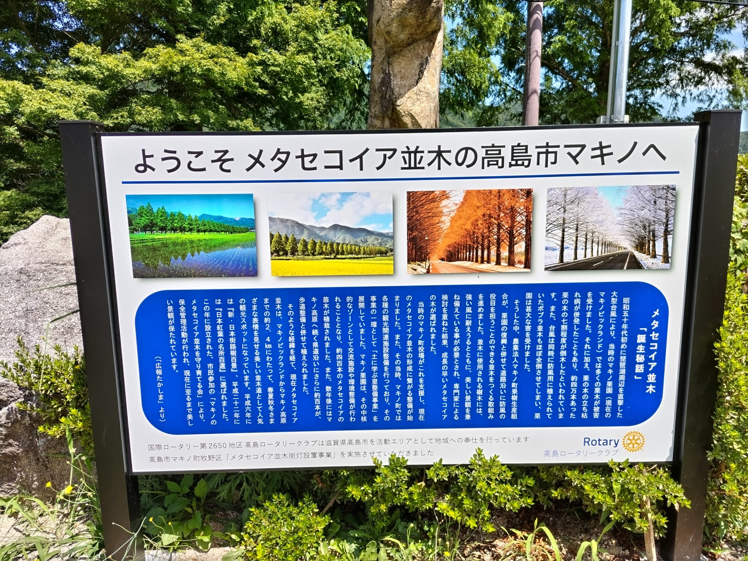 観光案内板