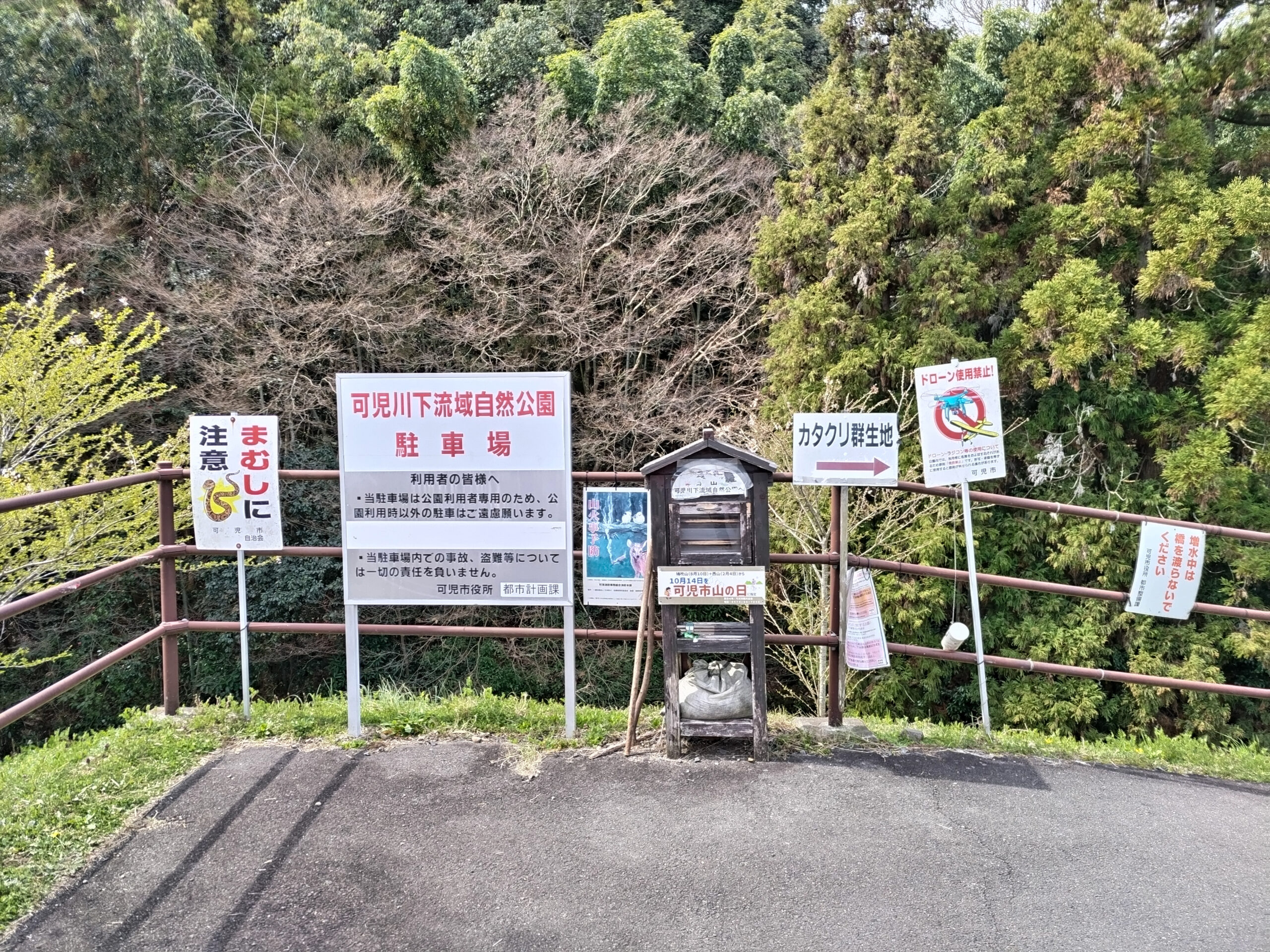 カタクリ群生地