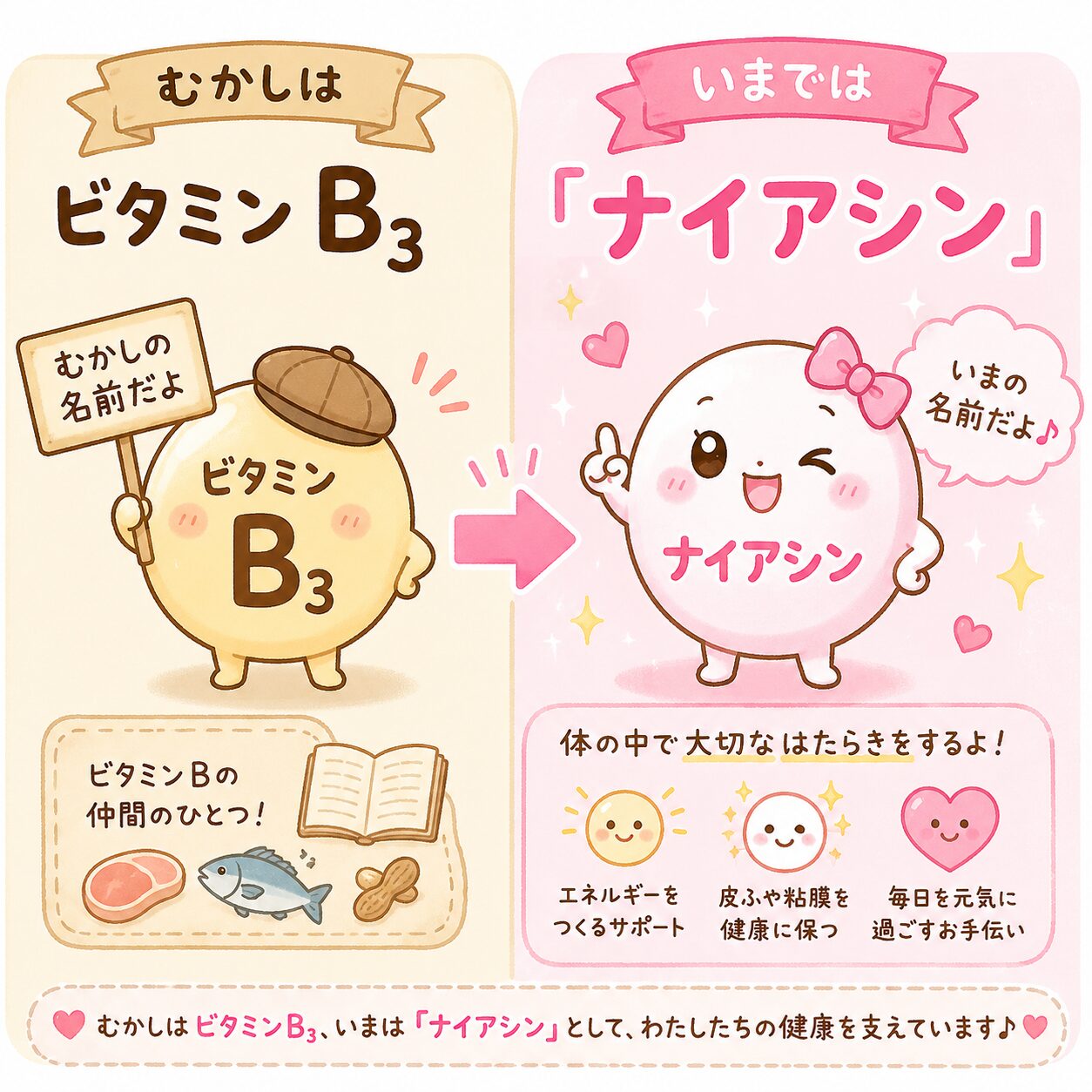 ナイアシン