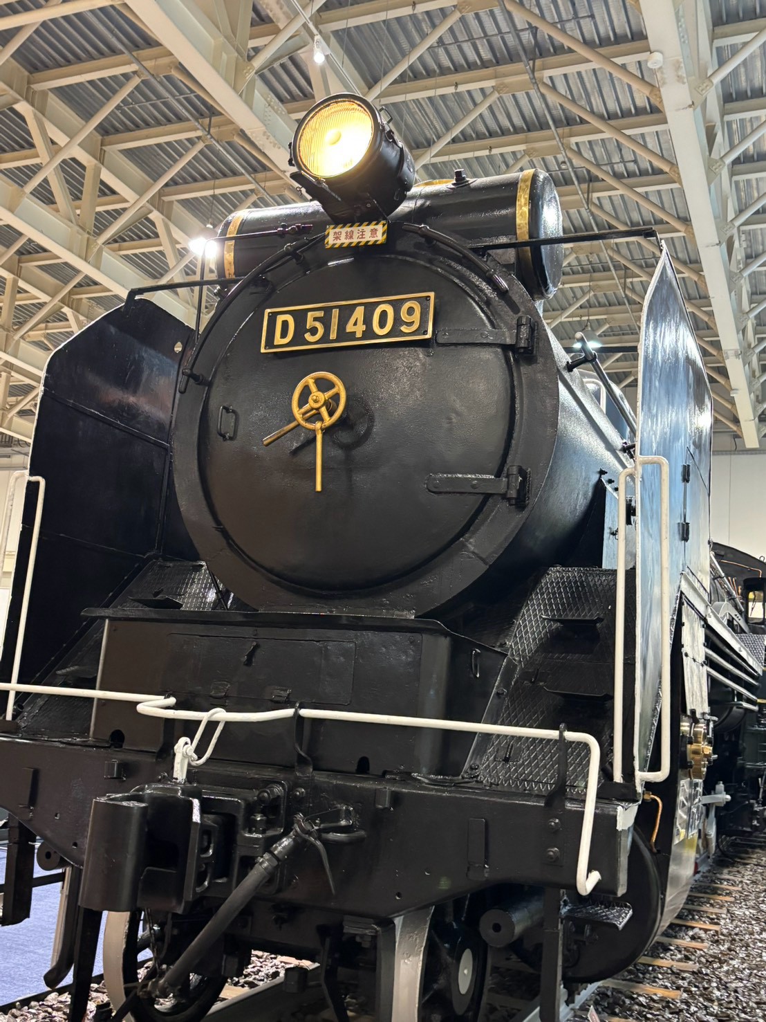 D51
